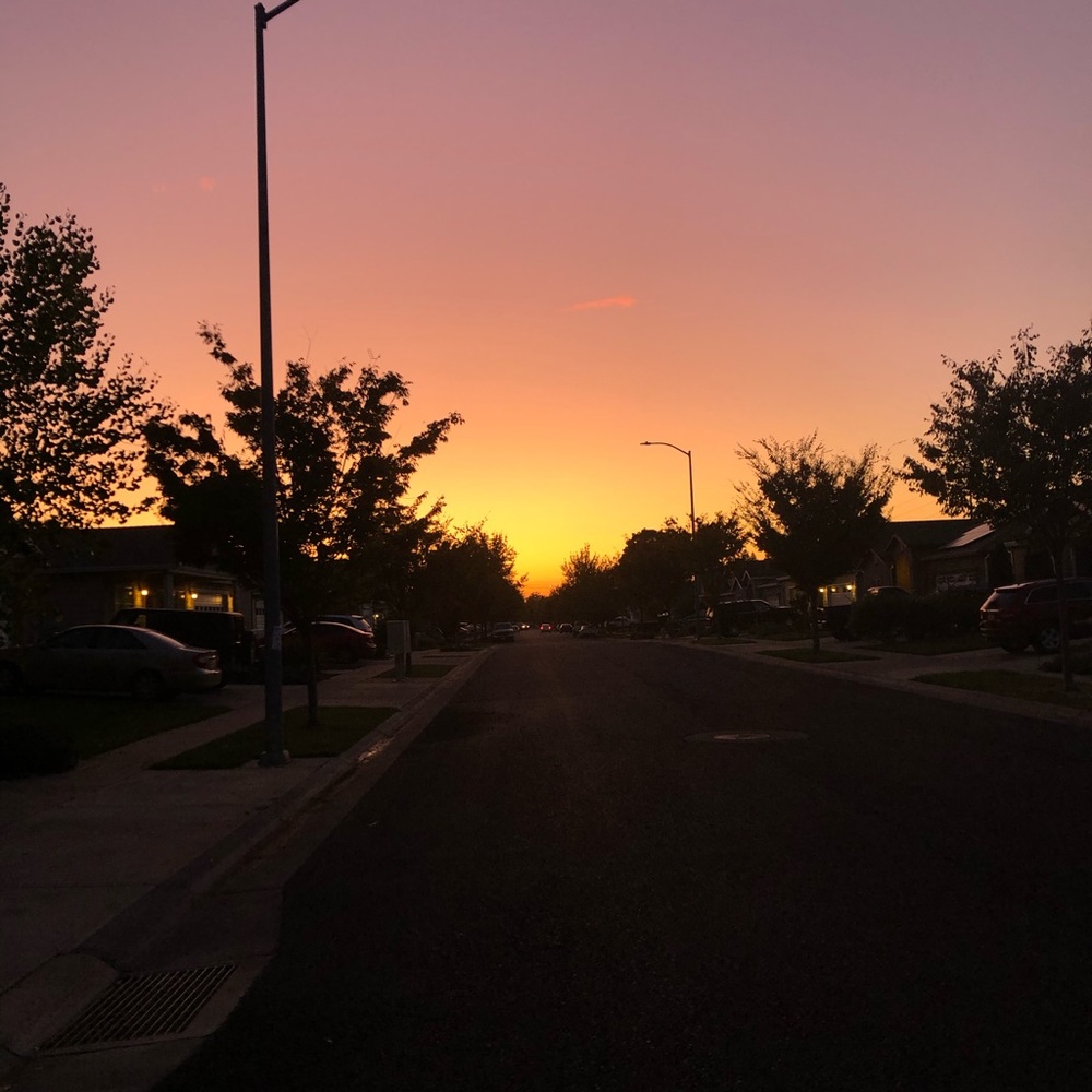 Meet your Posher, Olivia